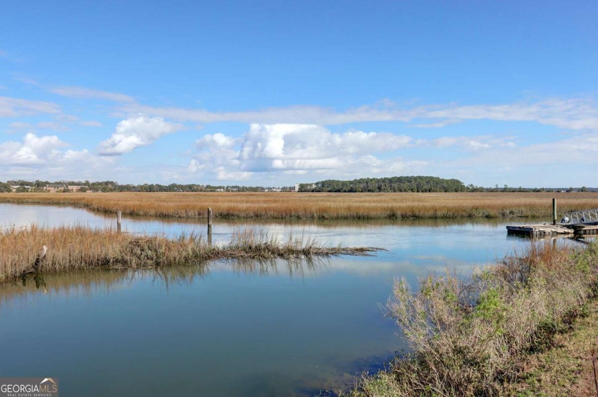 2724 Livingston Avenue Savannah - Photo 45