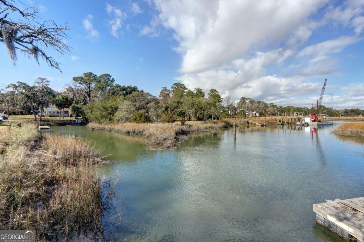 2724 Livingston Avenue Savannah - Photo 47