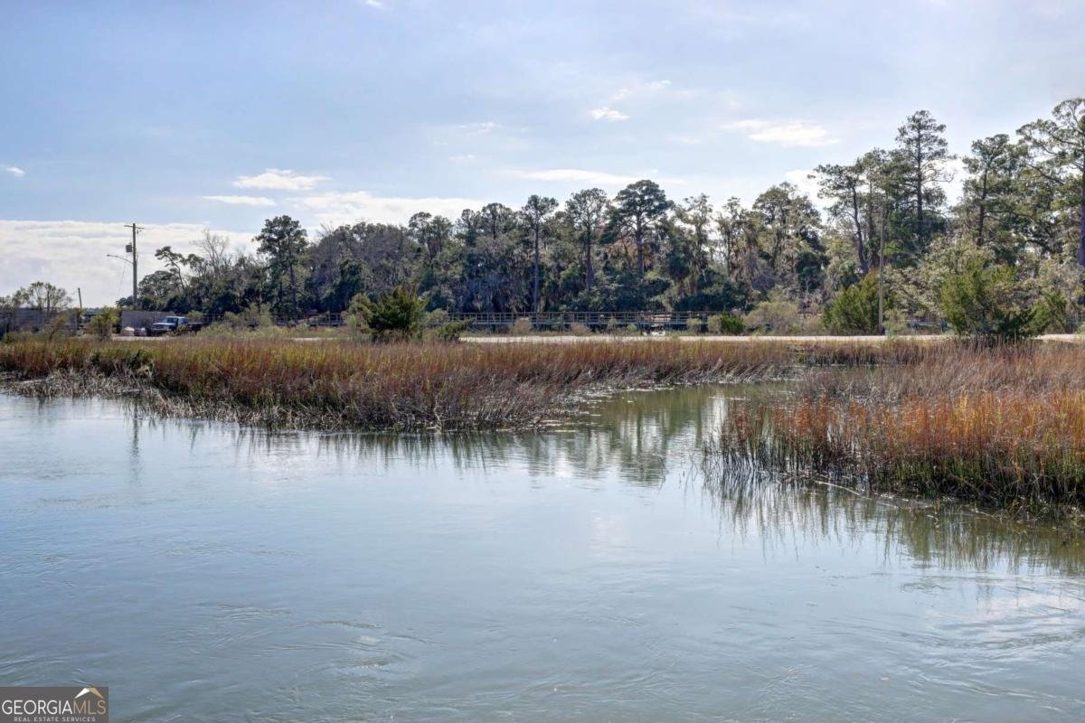 2724 Livingston Avenue Savannah - Photo 49