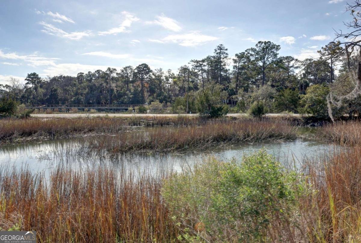 2724 Livingston Avenue Savannah - Photo 50