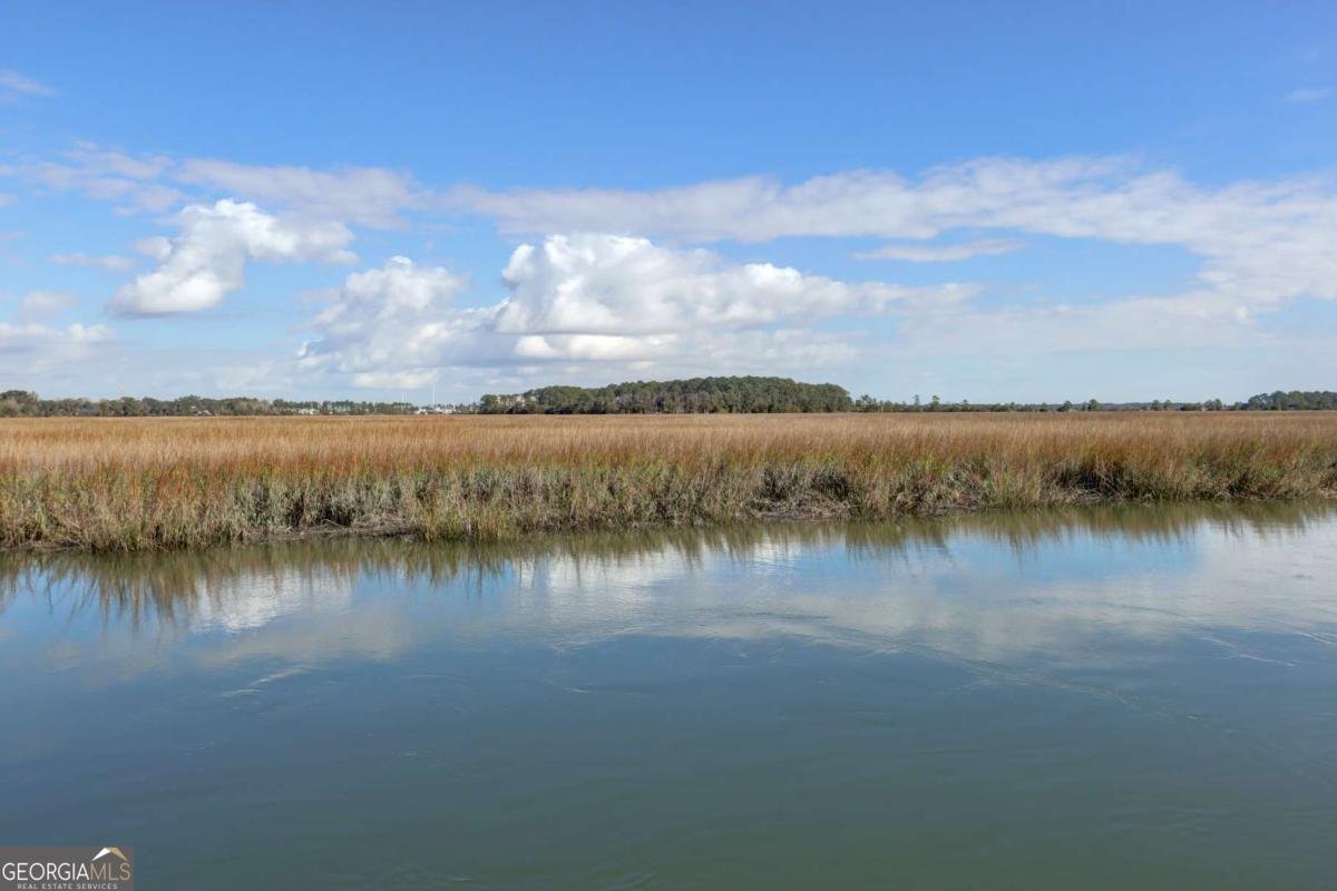 2724 Livingston Avenue Savannah - Photo 51