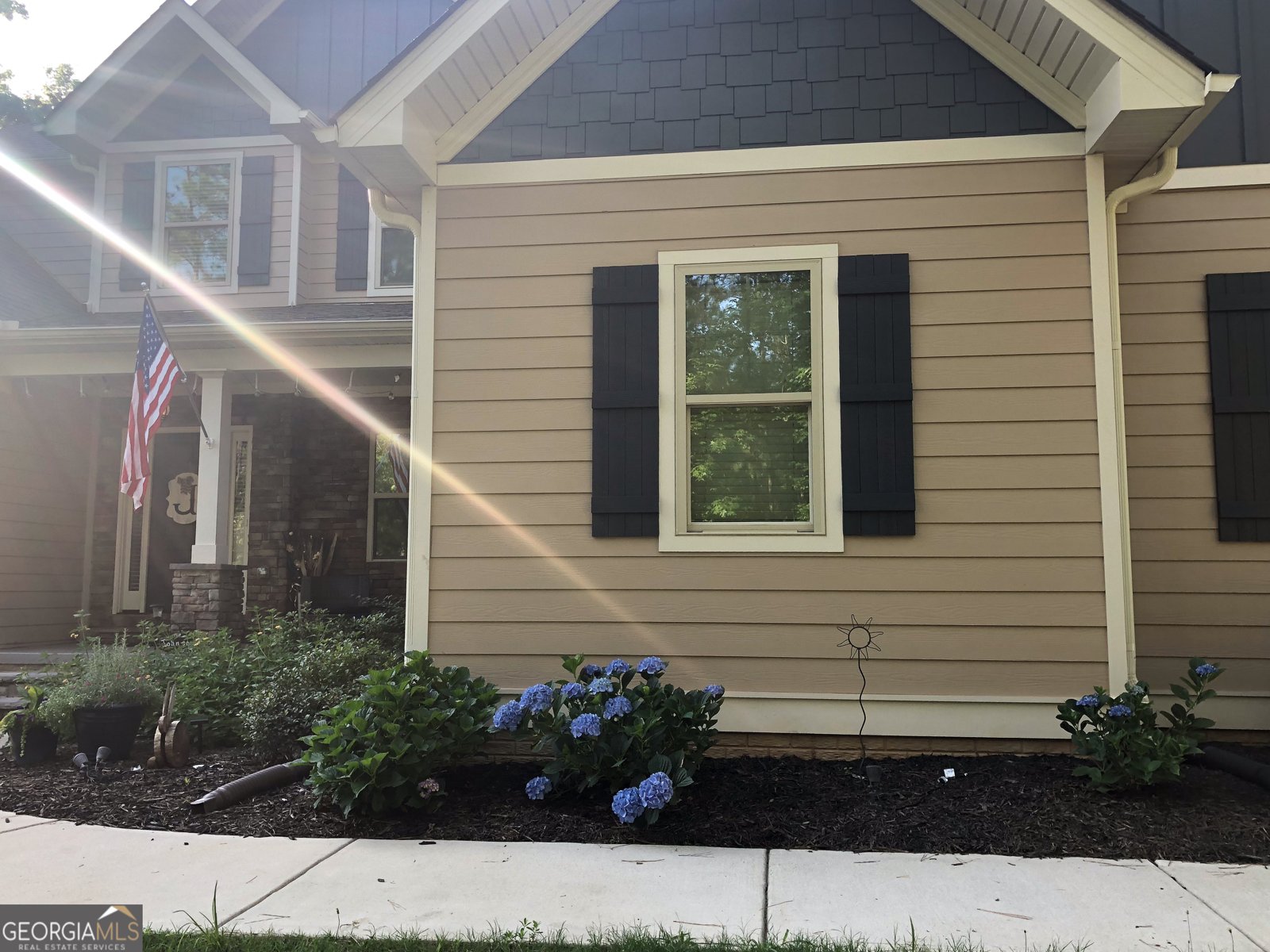 37 Farmstead Way Senoia - Photo 19