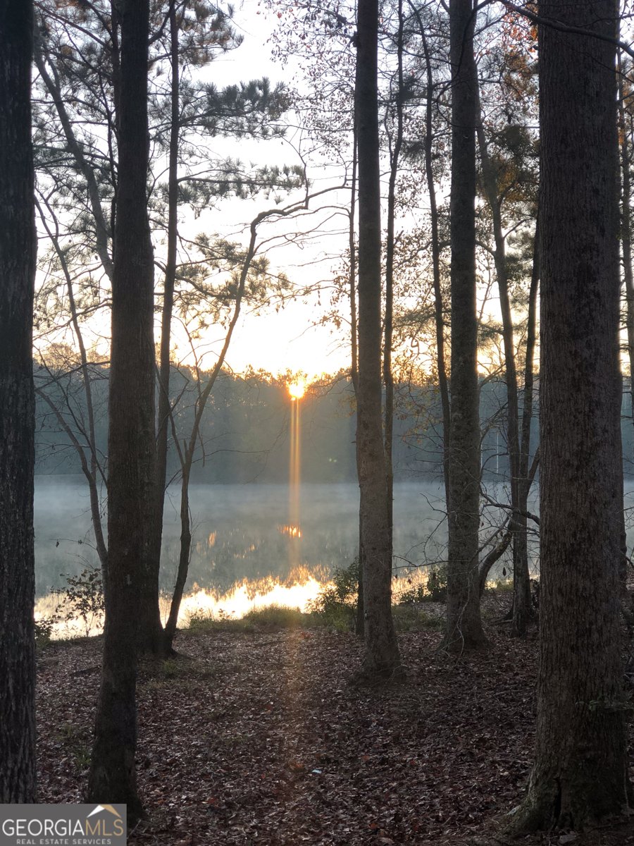 37 Farmstead Way Senoia - Photo 29