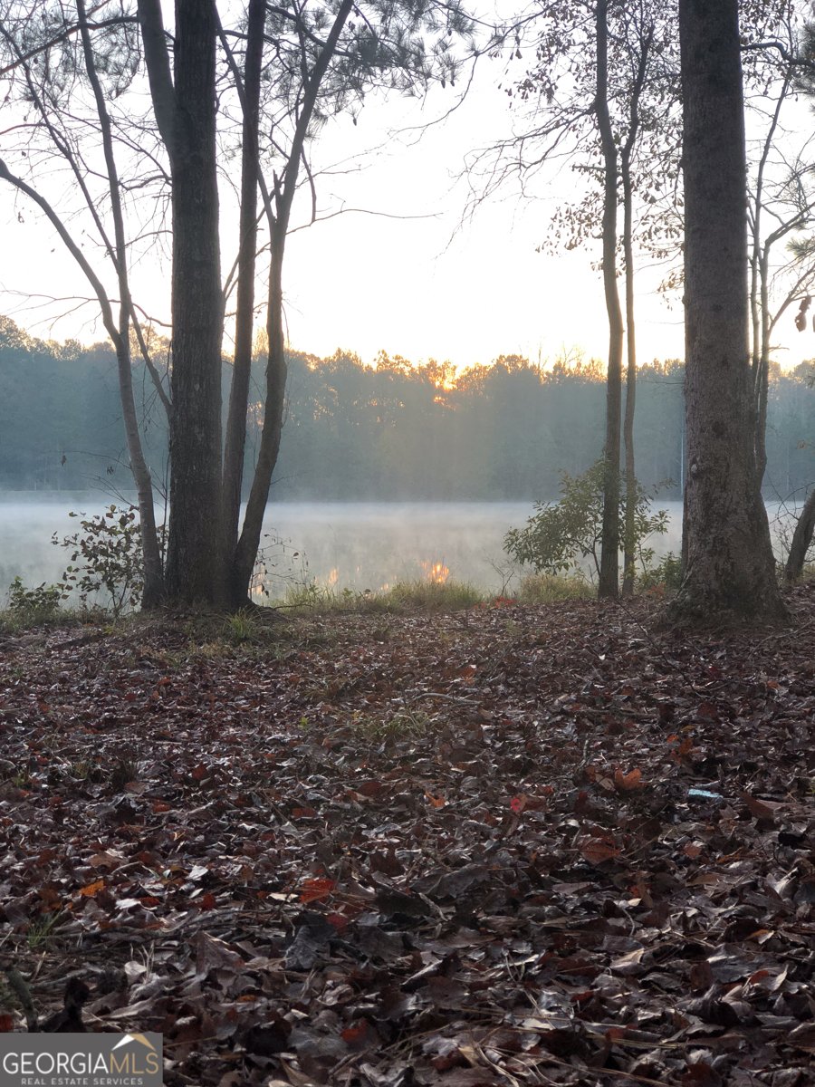 37 Farmstead Way Senoia - Photo 30