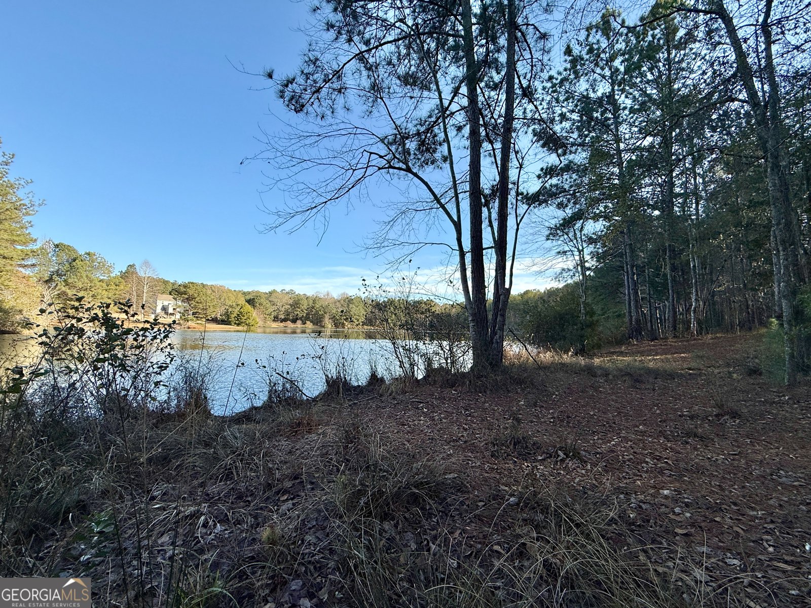 37 Farmstead Way Senoia - Photo 47