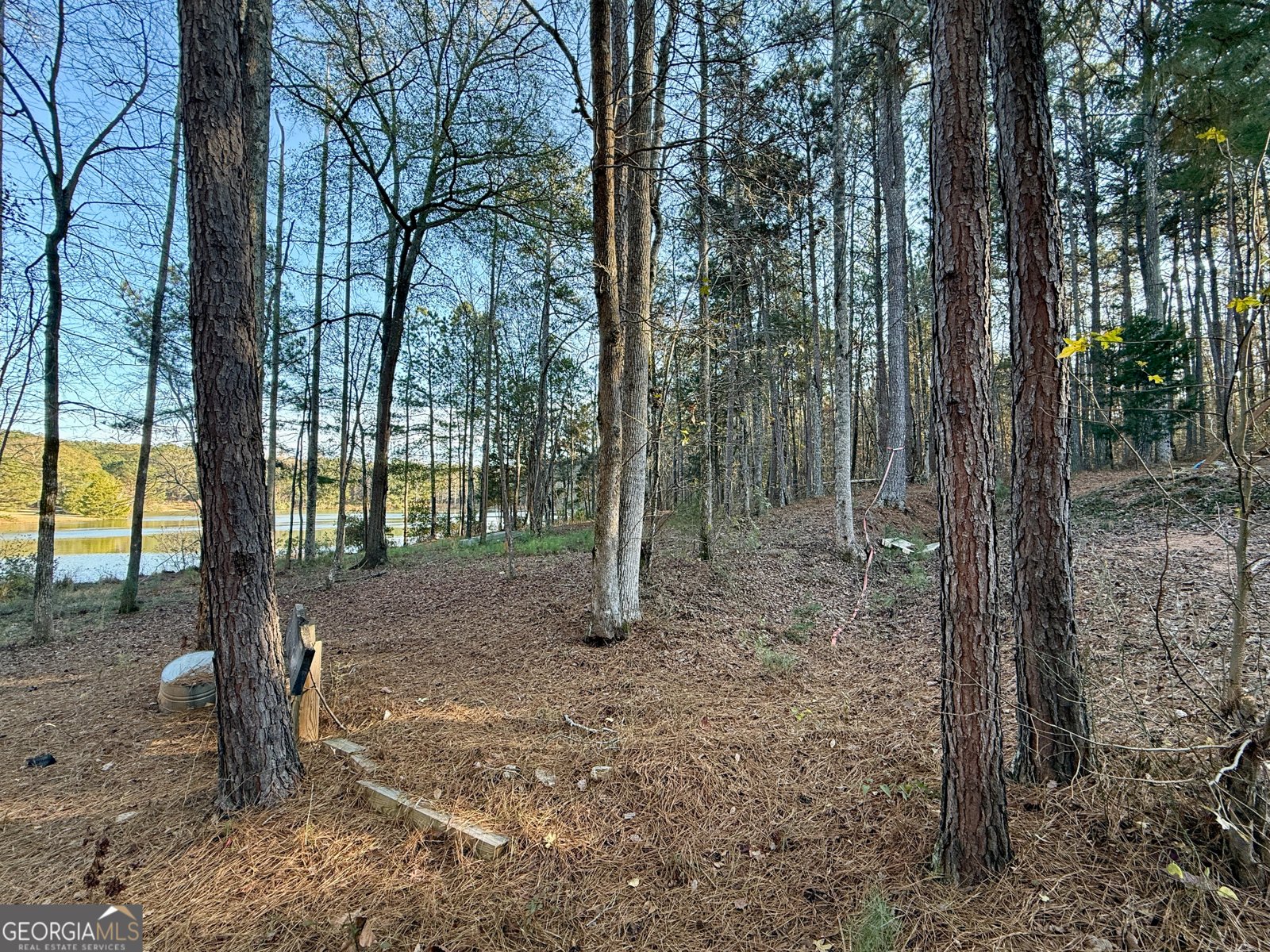 37 Farmstead Way Senoia - Photo 48