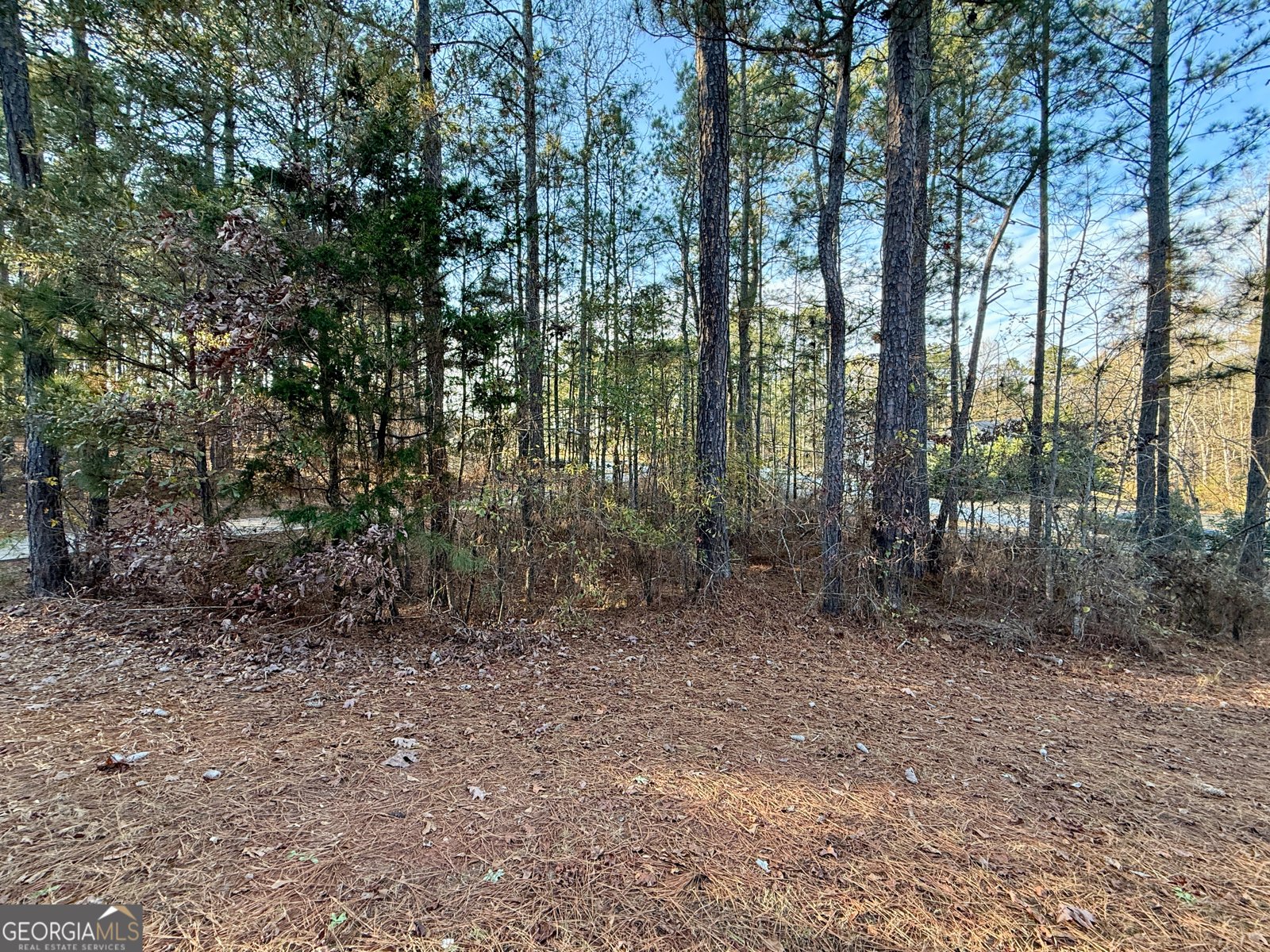 37 Farmstead Way Senoia - Photo 50