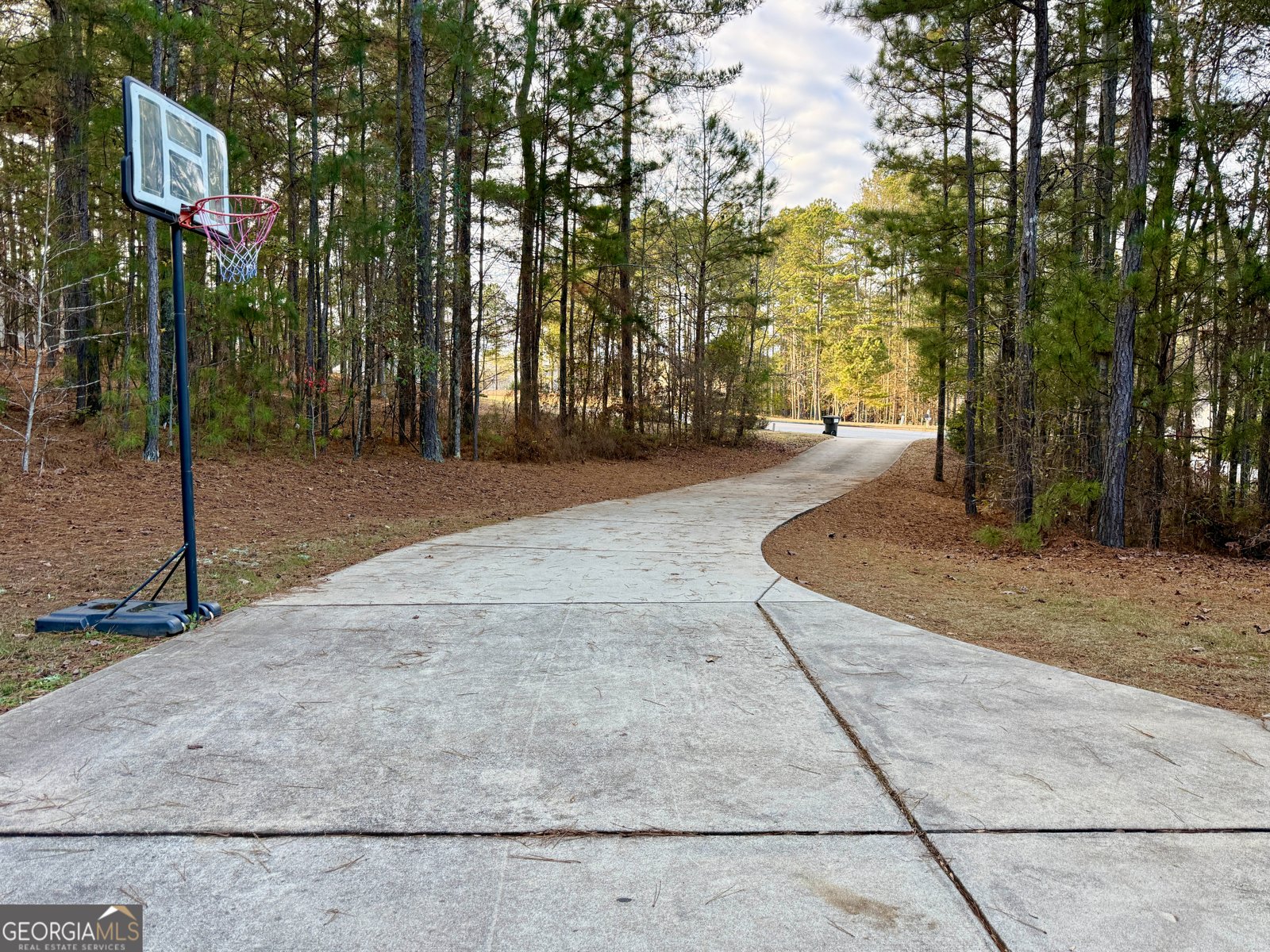 37 Farmstead Way Senoia - Photo 75