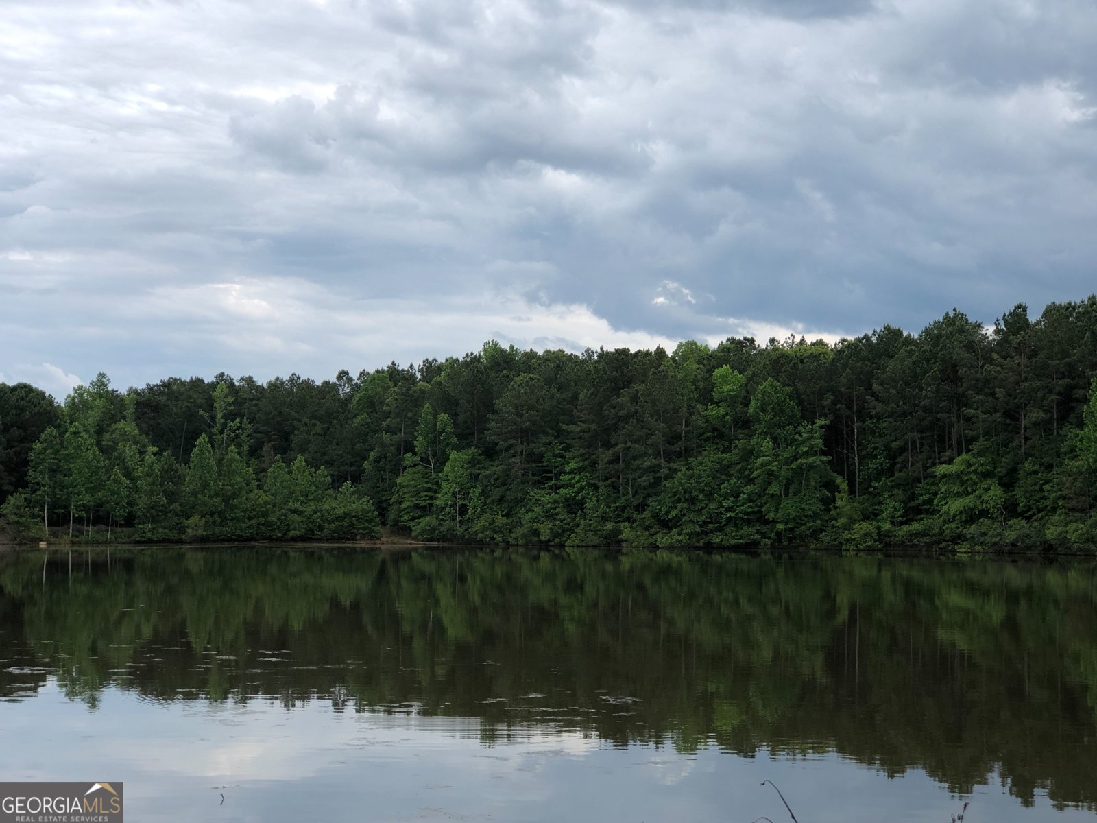 37 Farmstead Way Senoia - Photo 78