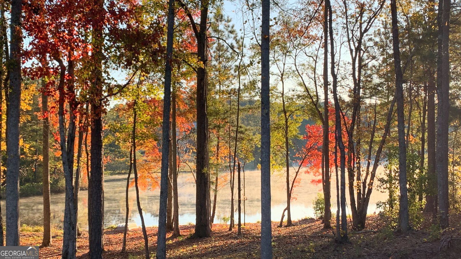 37 Farmstead Way Senoia - Photo 88