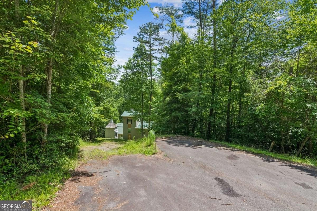 375 Deerfield Drive Dahlonega - Photo 74