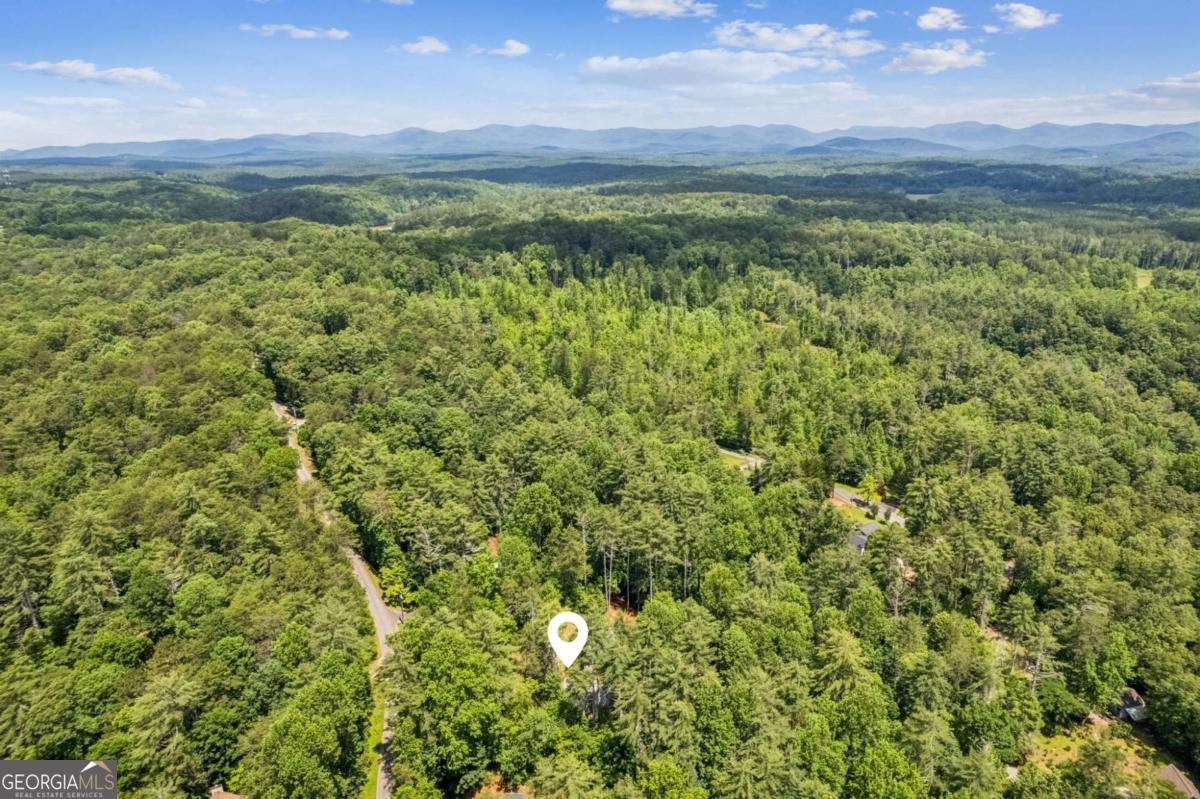 375 Deerfield Drive Dahlonega - Photo 8