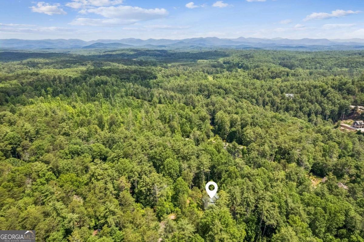 375 Deerfield Drive Dahlonega - Photo 9