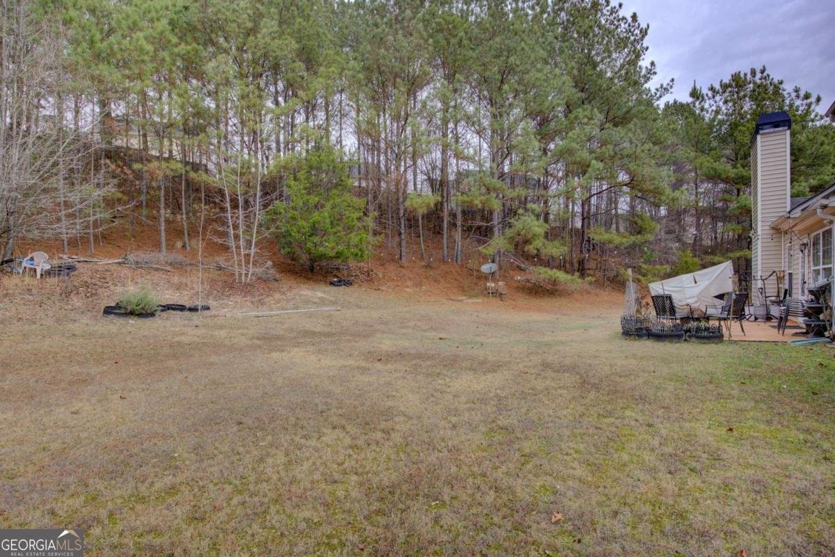 2812 Lee Court Conyers - Photo 43