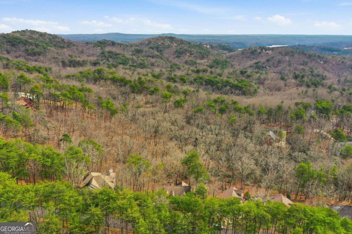 173 Indian Oak Drive Waleska - Photo 7