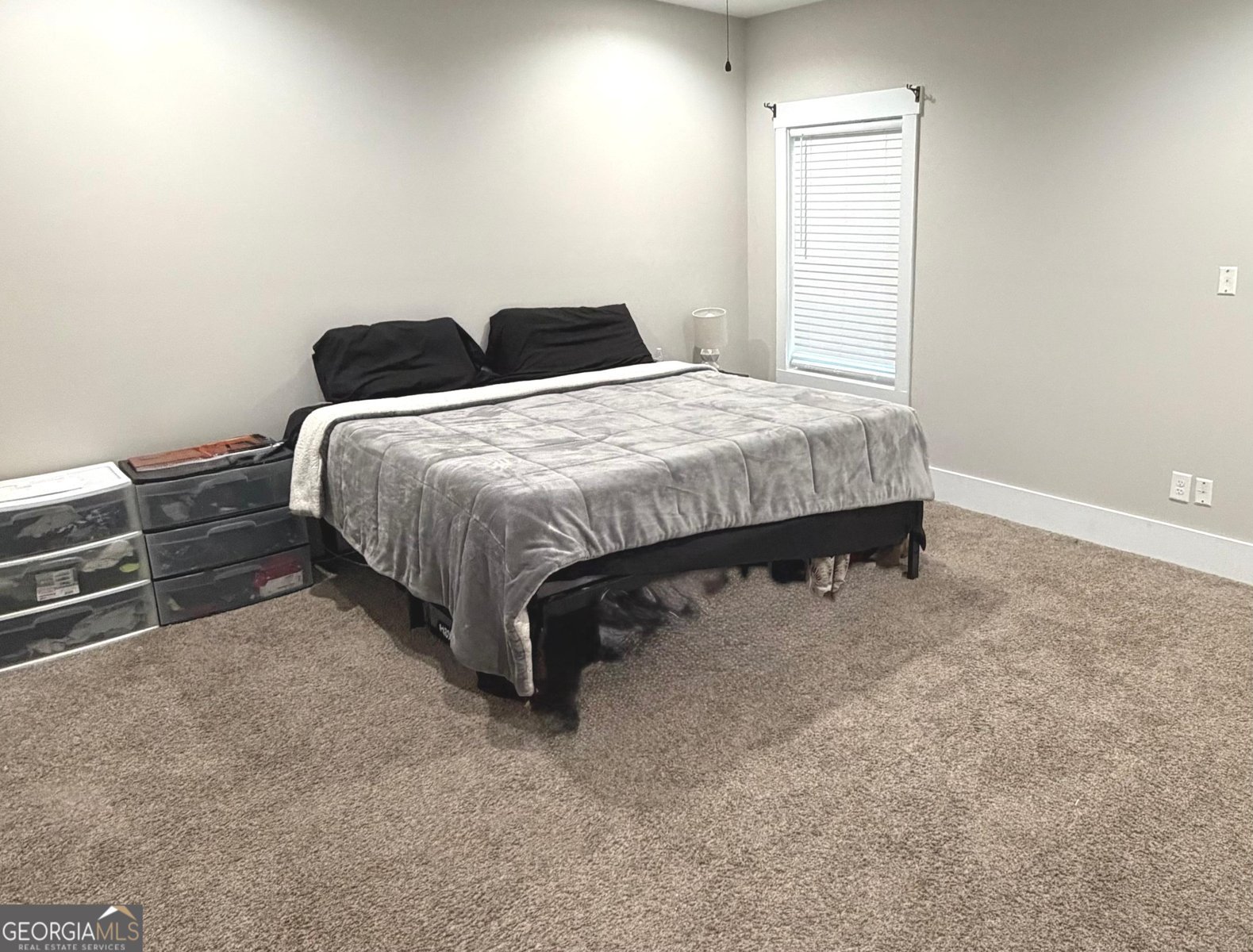 1574 Vineyard Road Griffin - Photo 11