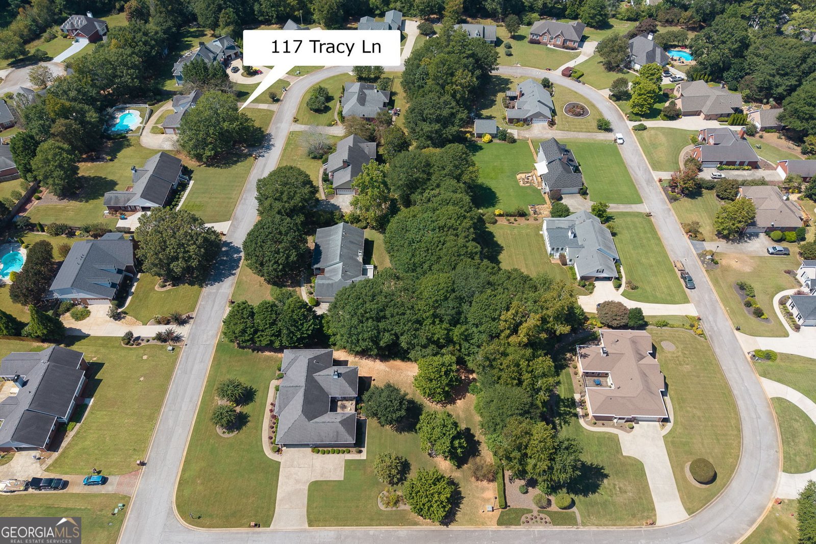 117 Tracy Lane McDonough - Photo 59