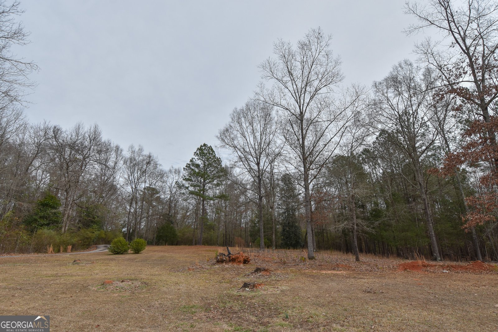 276 Head Street Zebulon - Photo 10