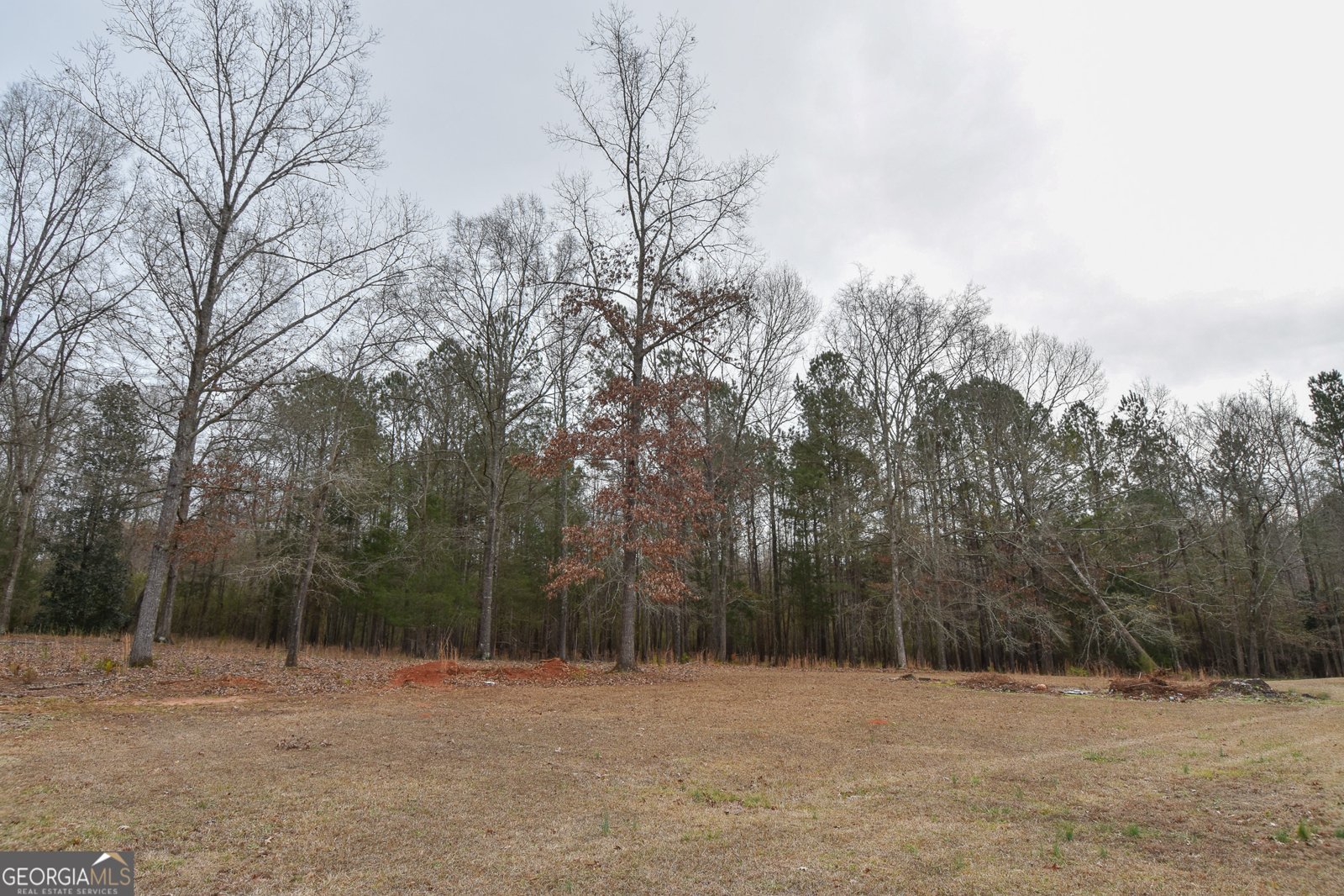 276 Head Street Zebulon - Photo 11