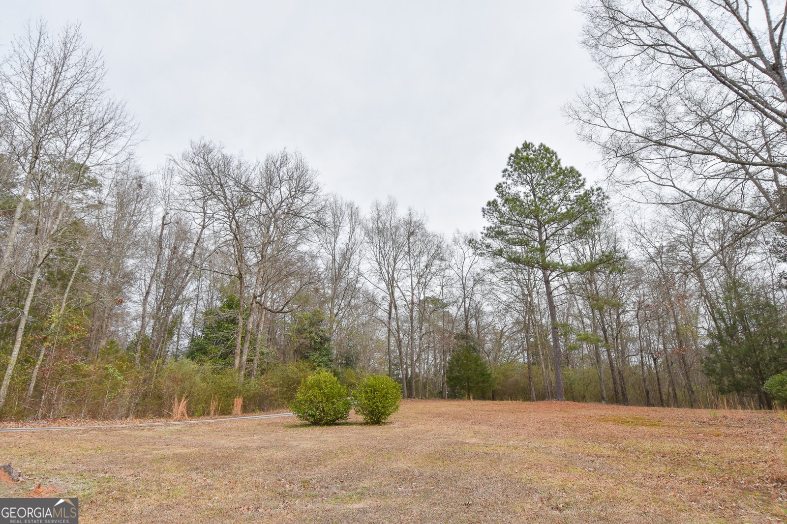 276 Head Street Zebulon - Photo 12