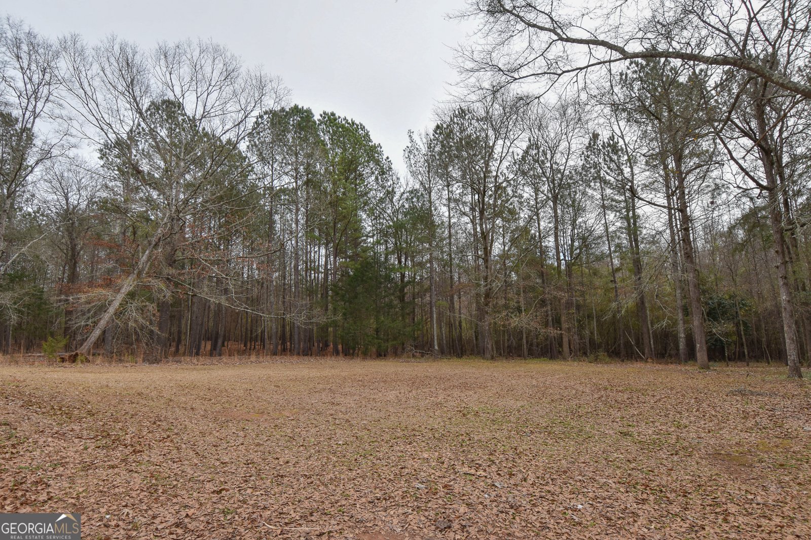 276 Head Street Zebulon - Photo 6