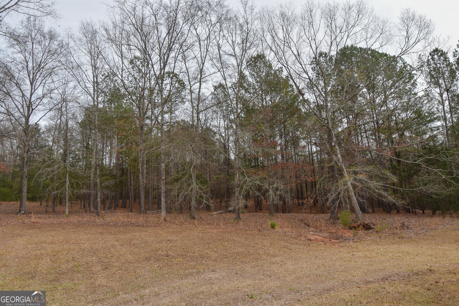 276 Head Street Zebulon - Photo 7