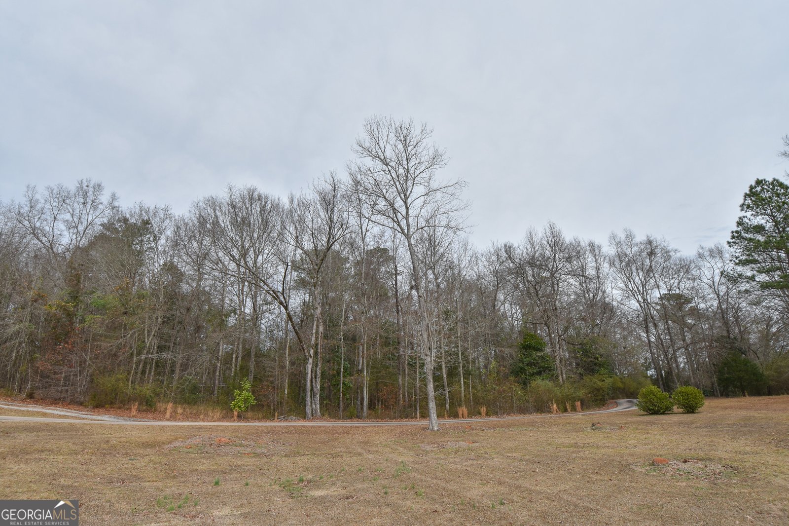 276 Head Street Zebulon - Photo 8