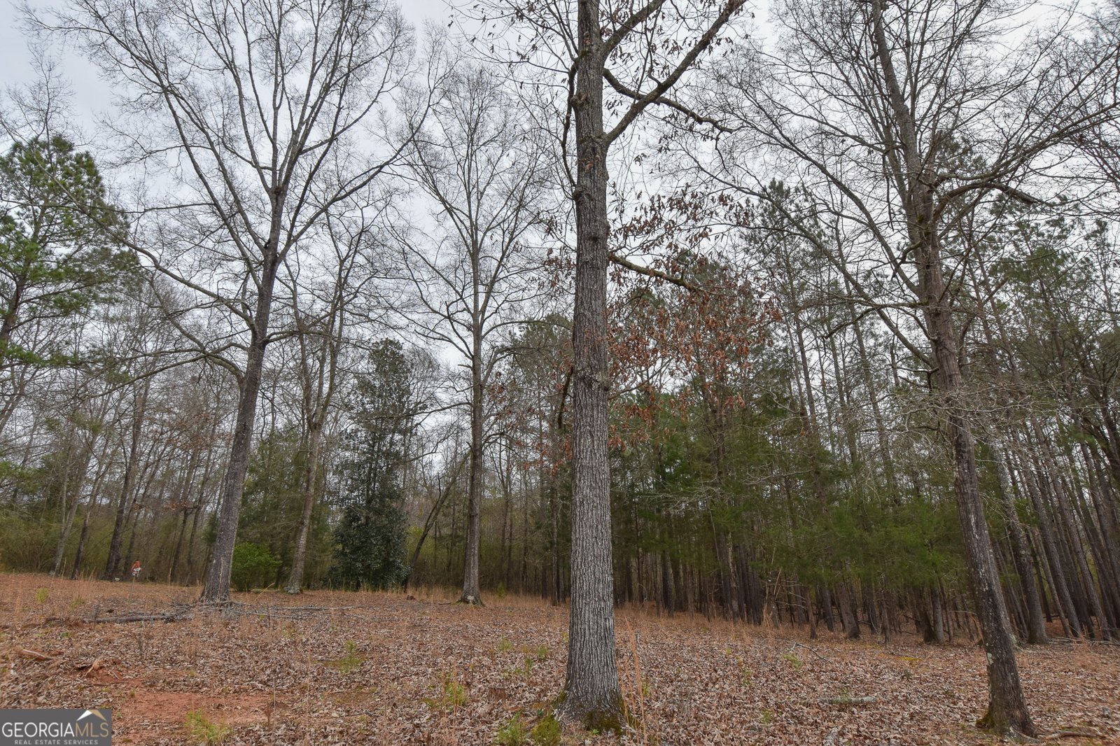 276 Head Street Zebulon - Photo 9