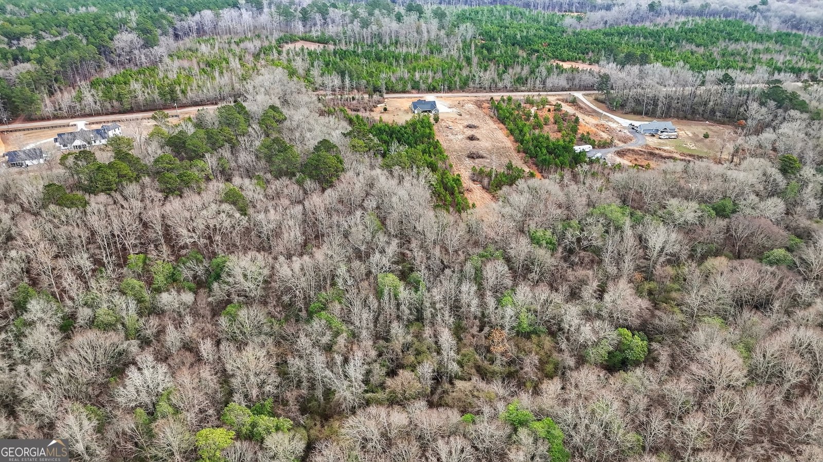 2110 Sullivan Mill Road Senoia - Photo 42