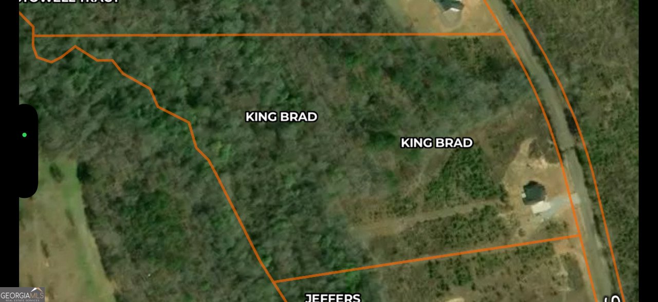 2110 Sullivan Mill Road Senoia - Photo 45