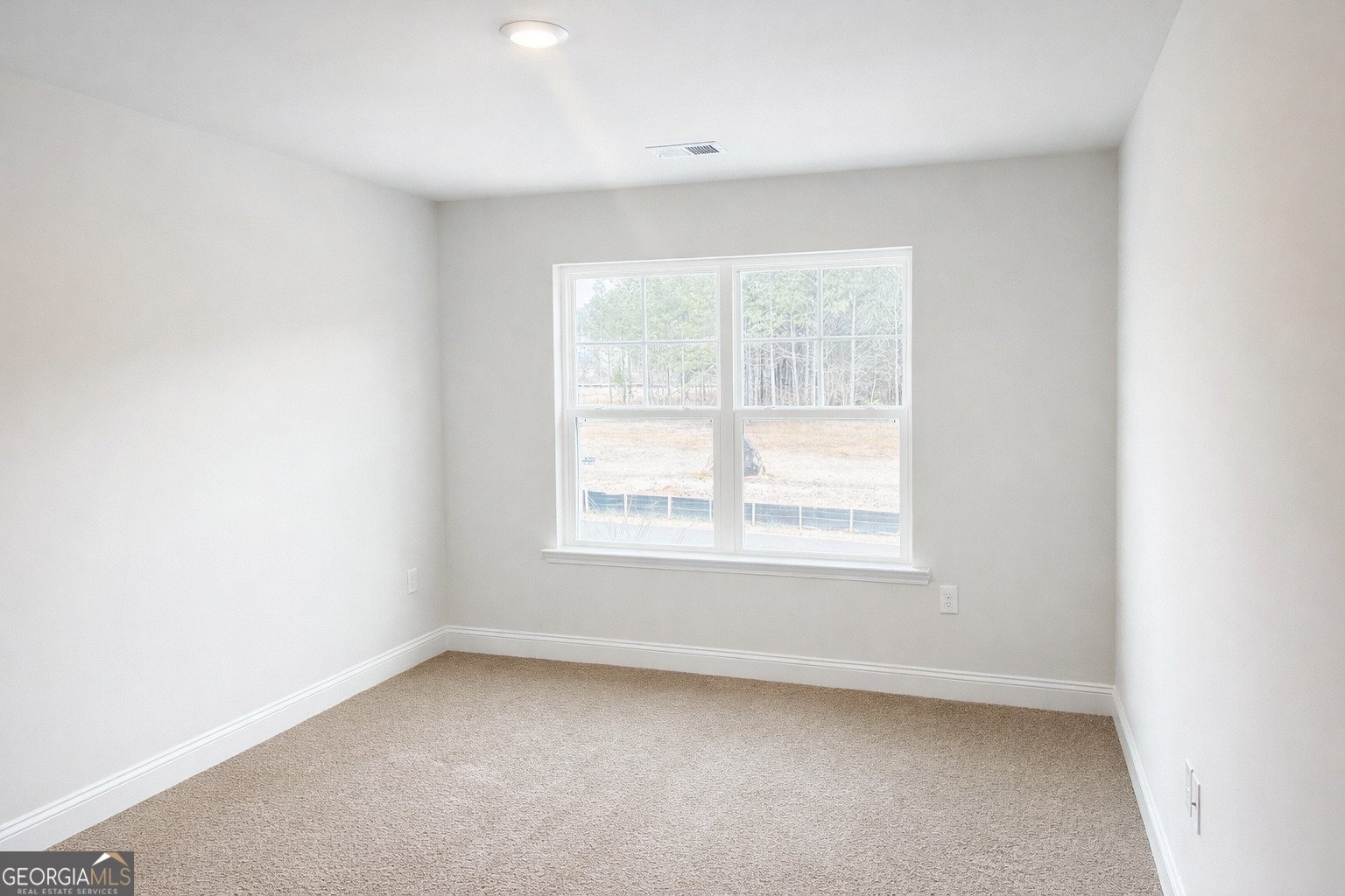 215 Laney Drive Carrollton - Photo 23