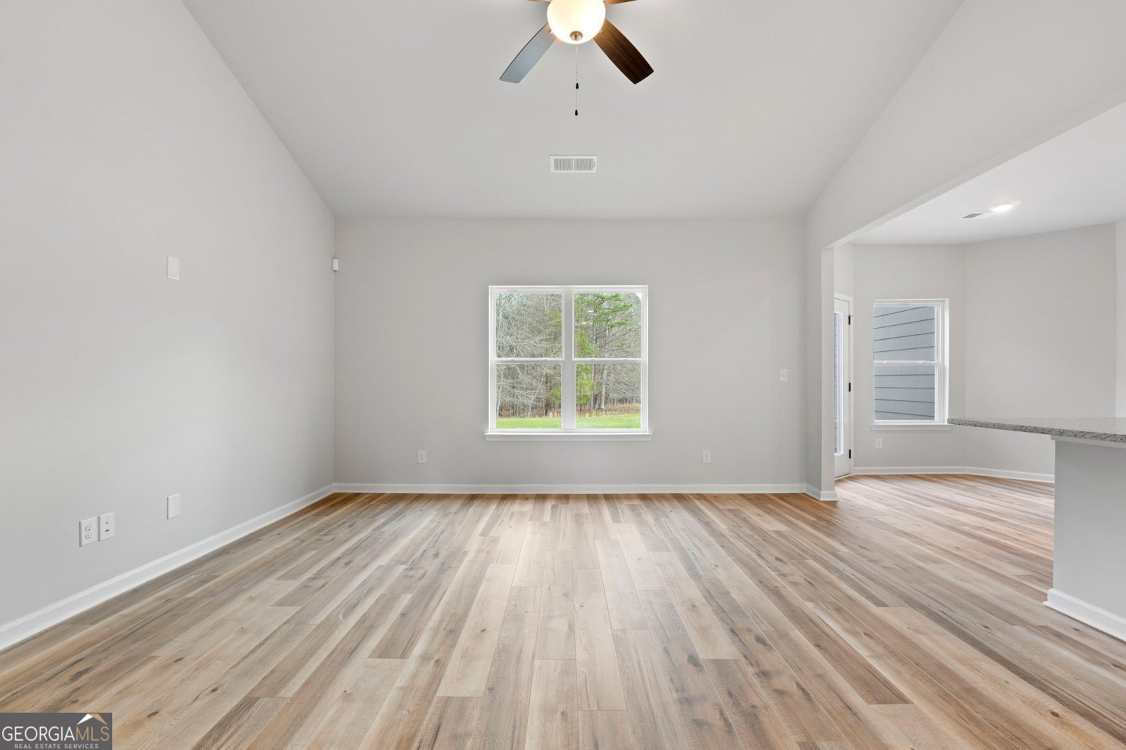 156 Charlie Fuller Road Grantville - Photo 7