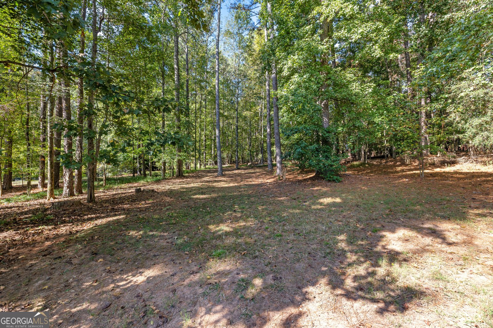 180 Browns Crossing Drive Fayetteville - Photo 69