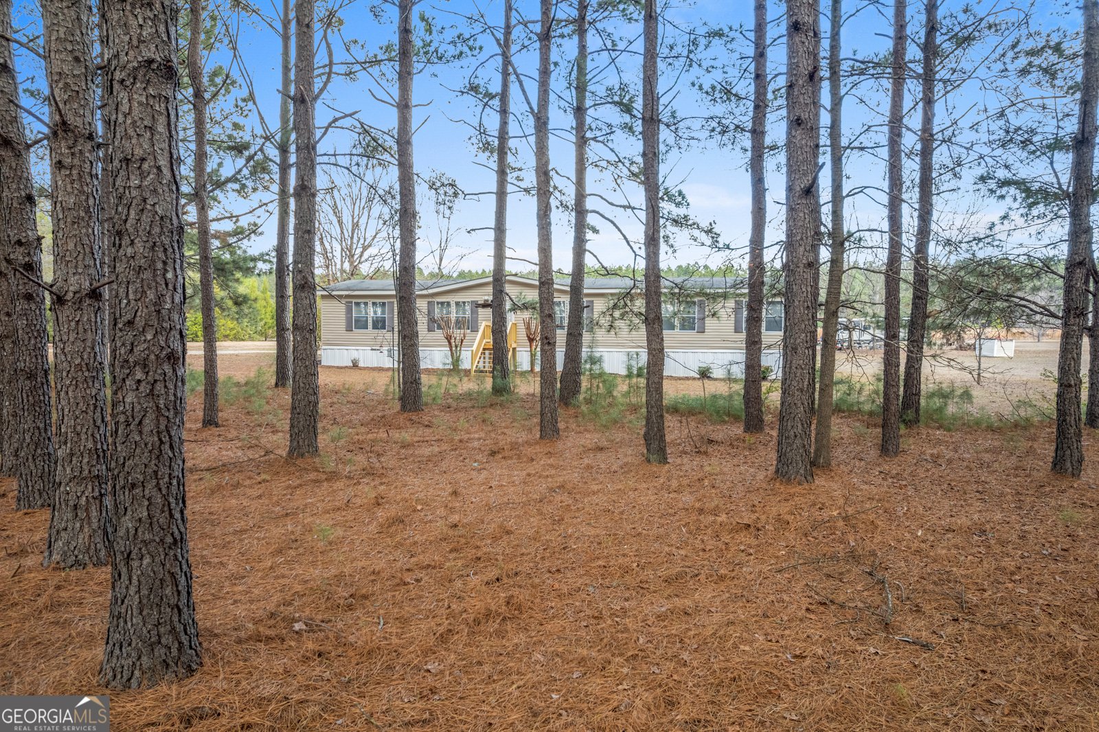 907 Sheppard Road Tennille - Photo 51