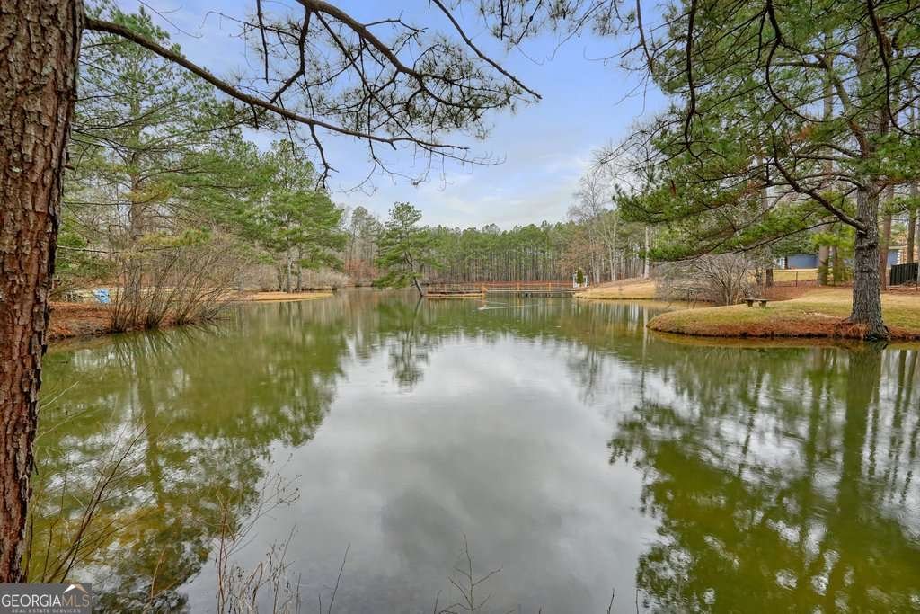 402 Leslie Court Woodstock - Photo 49