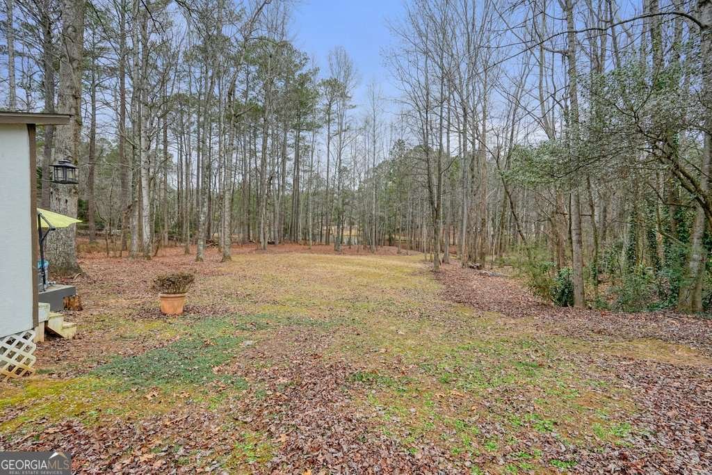 402 Leslie Court Woodstock - Photo 51