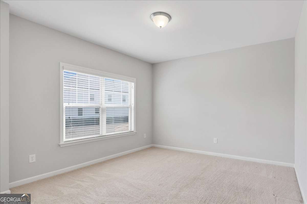 204 Cardinal Lane Woodstock - Photo 41