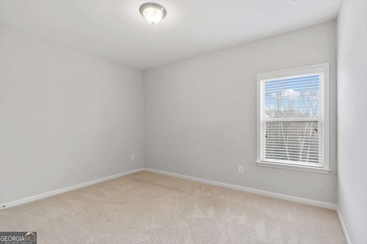 204 Cardinal Lane Woodstock - Photo 44