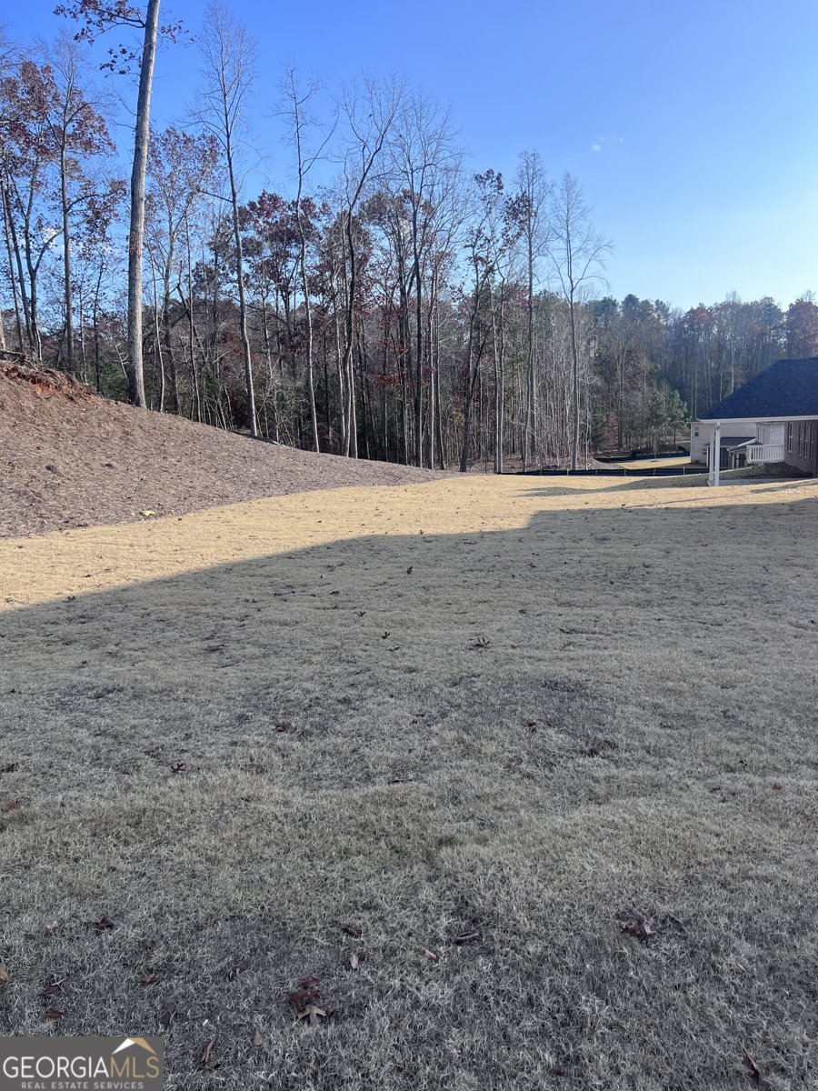 5009 Fairview Circle Villa Rica - Photo 39