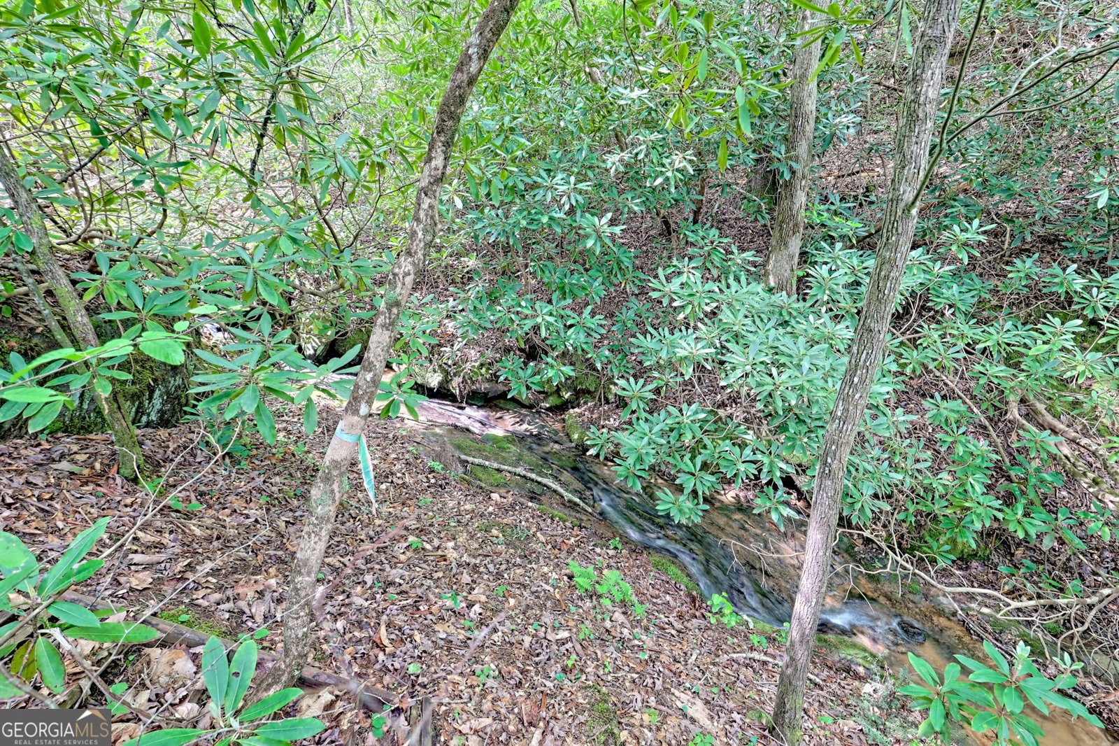 995 Glassy Mtn Road Hiawassee - Photo 63