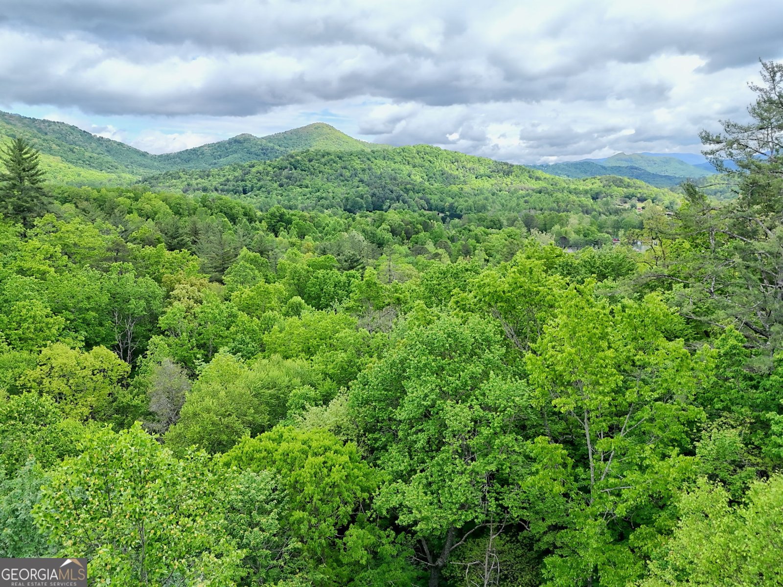 995 Glassy Mtn Road Hiawassee - Photo 71