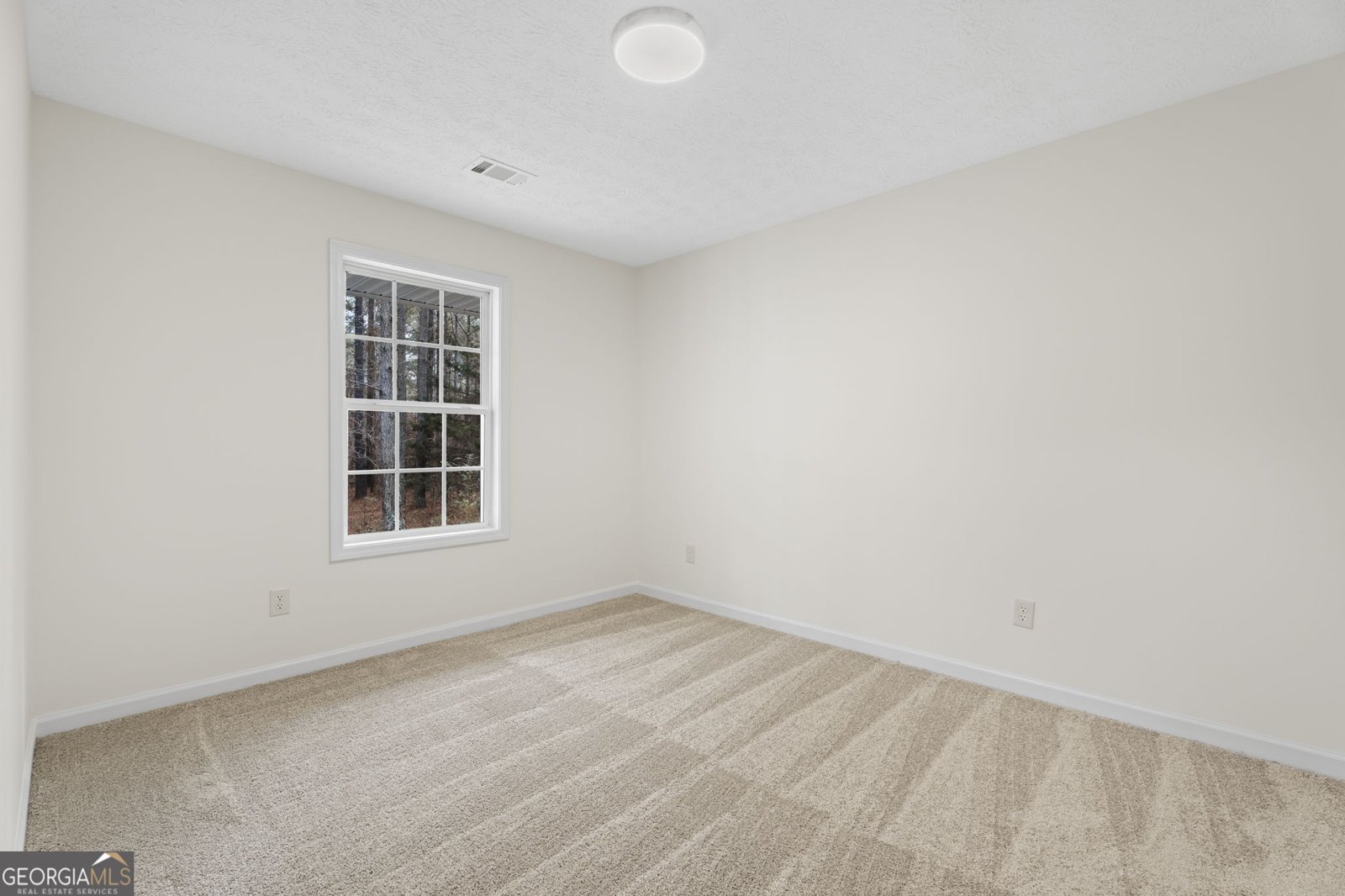 1227 Al Roberts Road Senoia - Photo 26