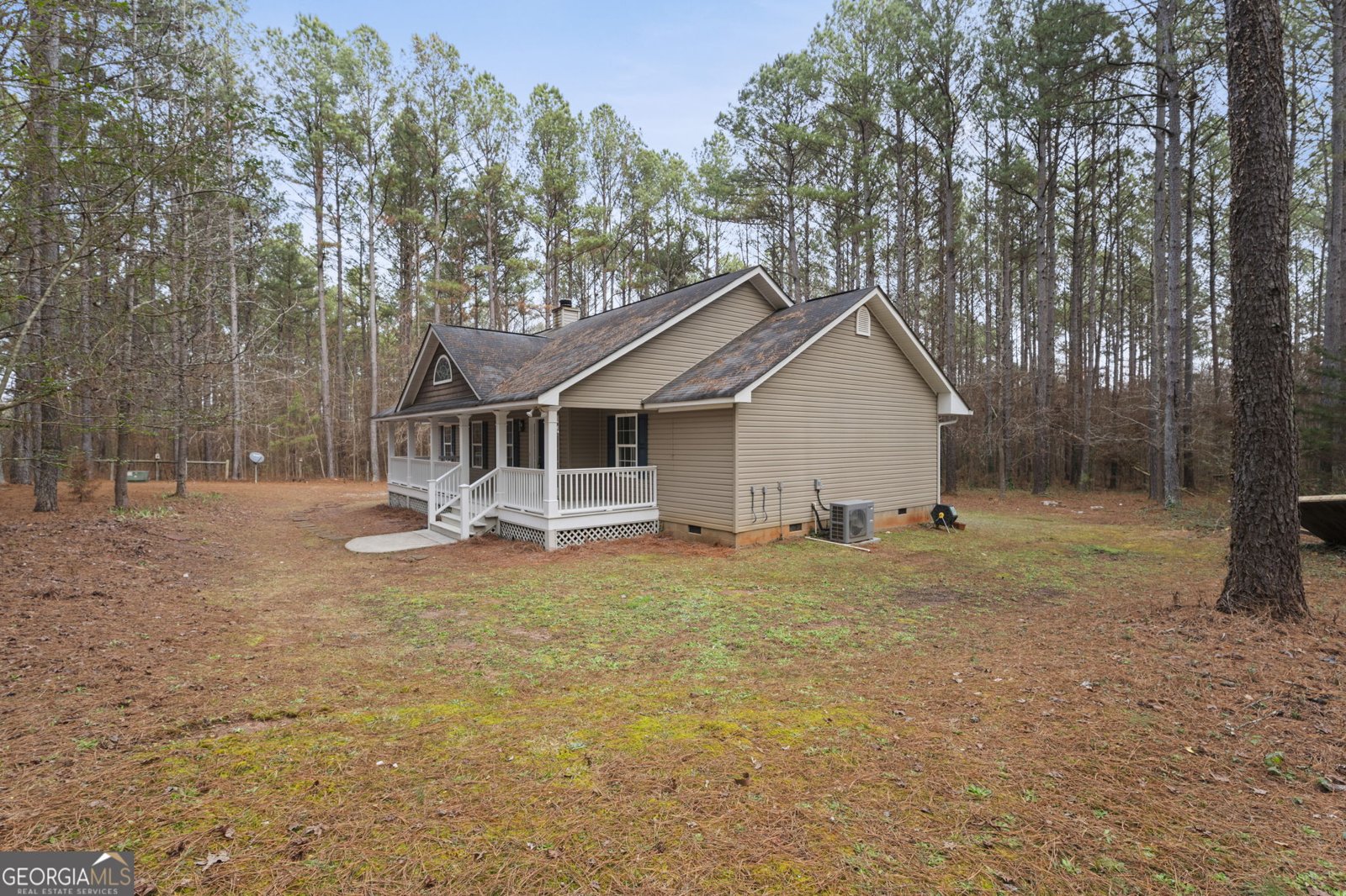 1227 Al Roberts Road Senoia - Photo 39