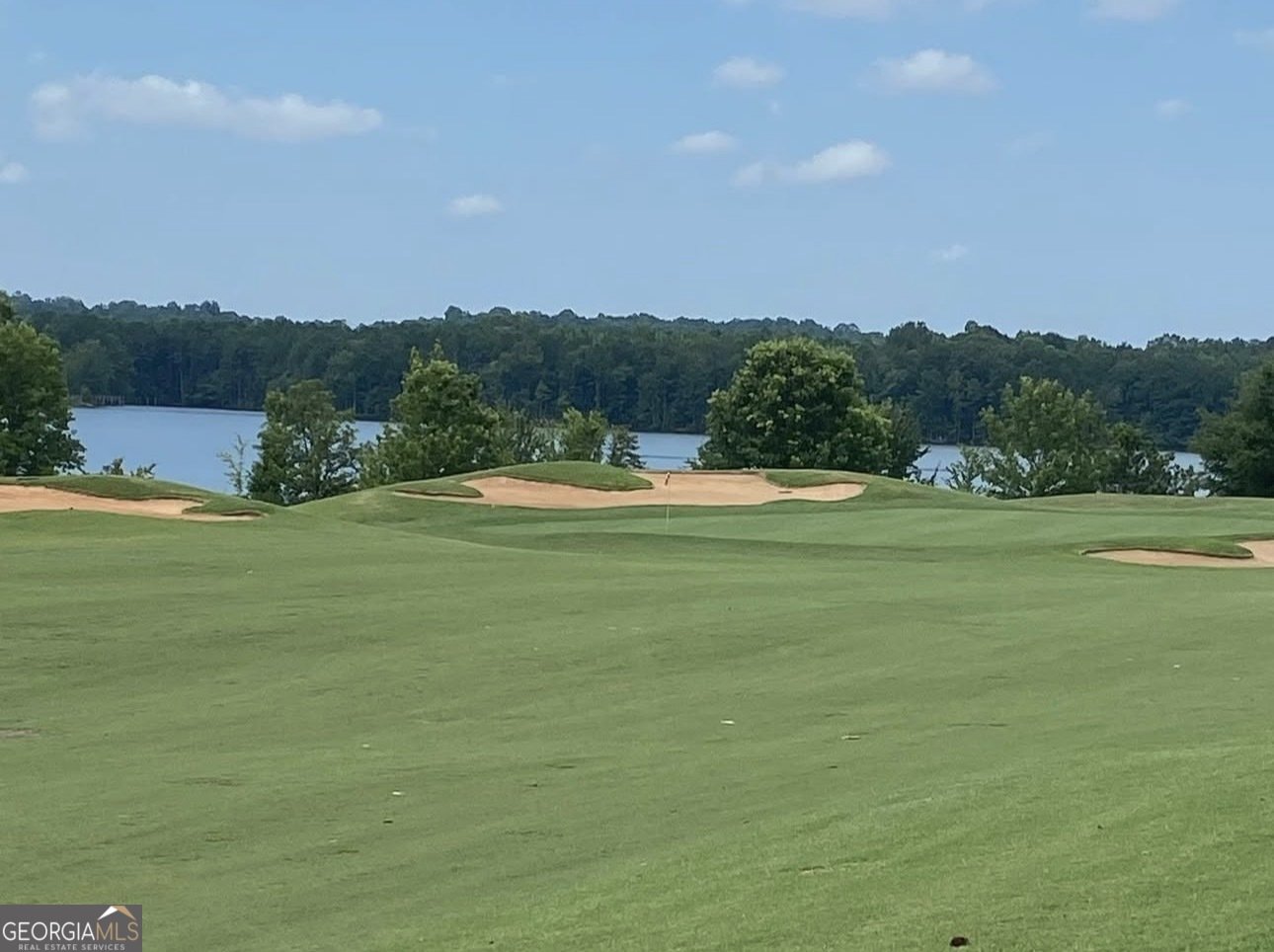 317 Southgate Drive Locust Grove - Photo 39