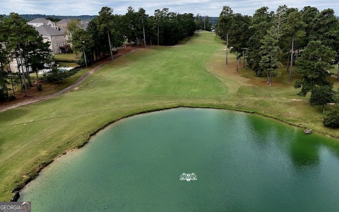 317 Southgate Drive Locust Grove - Photo 40