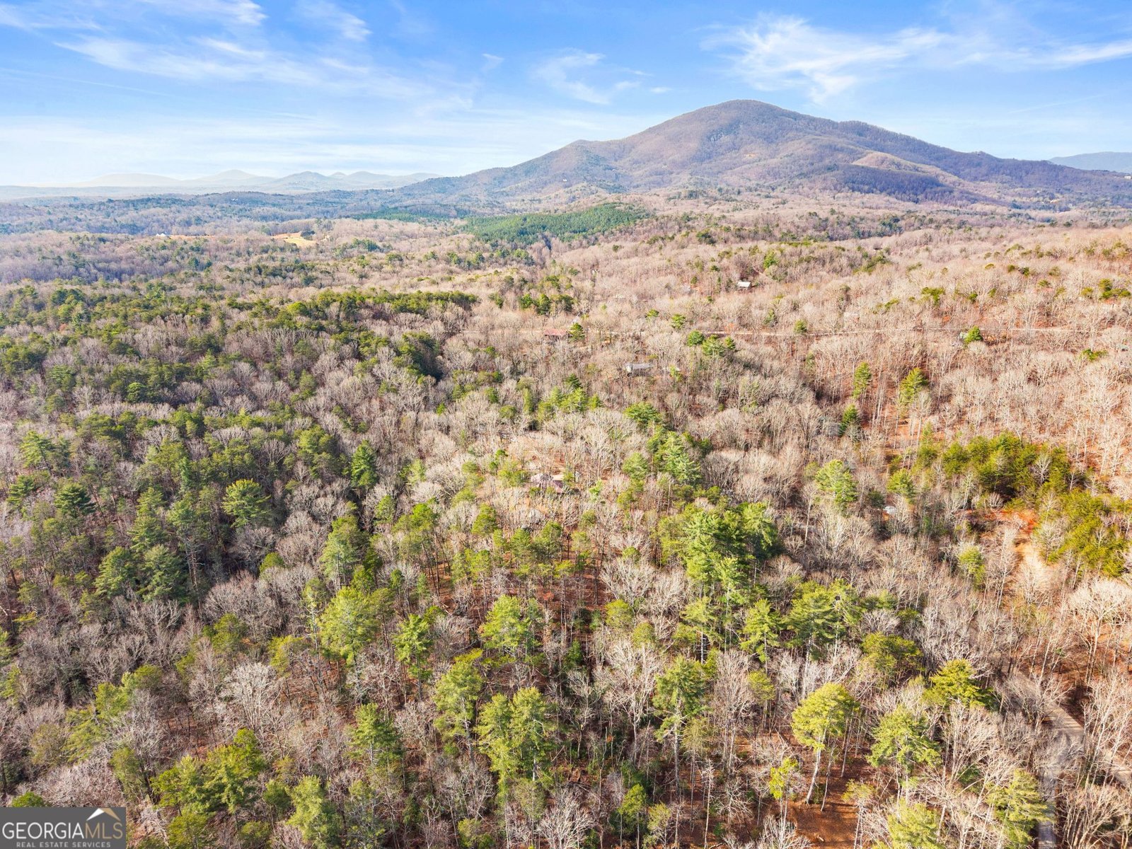 132 Chattahoochee Acres Drive Cleveland - Photo 52