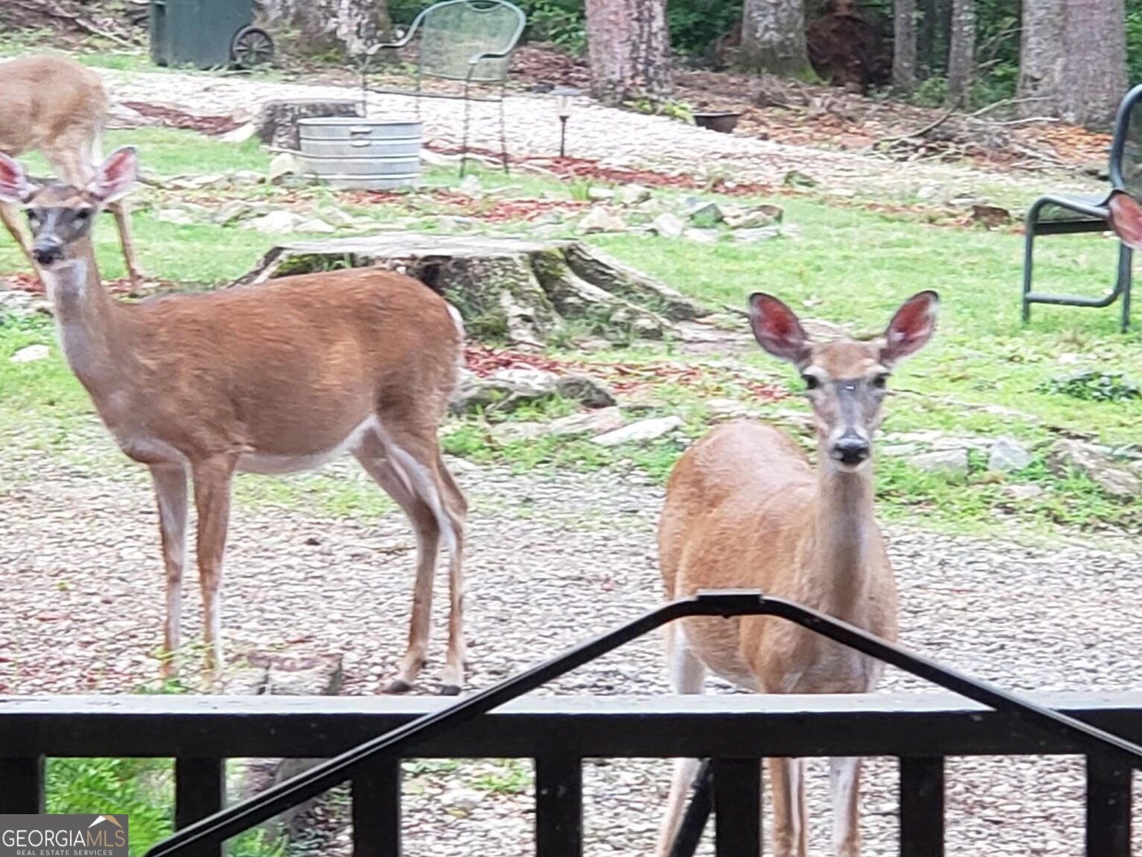 132 Chattahoochee Acres Drive Cleveland - Photo 56