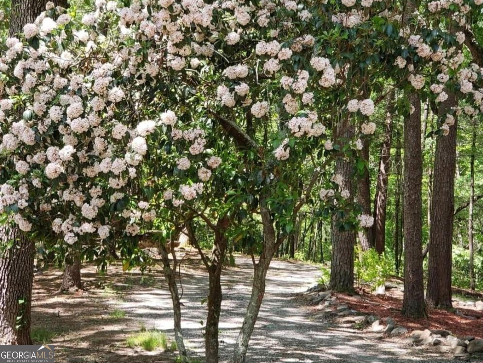 132 Chattahoochee Acres Drive Cleveland - Photo 59