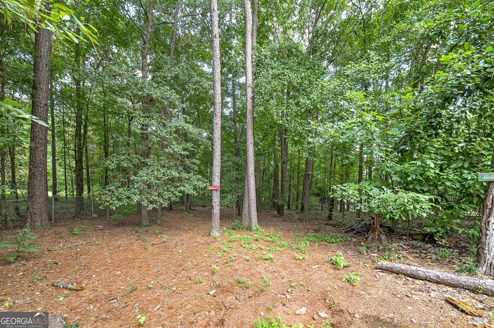 450 Lakeshore Drive Jackson - Photo 6