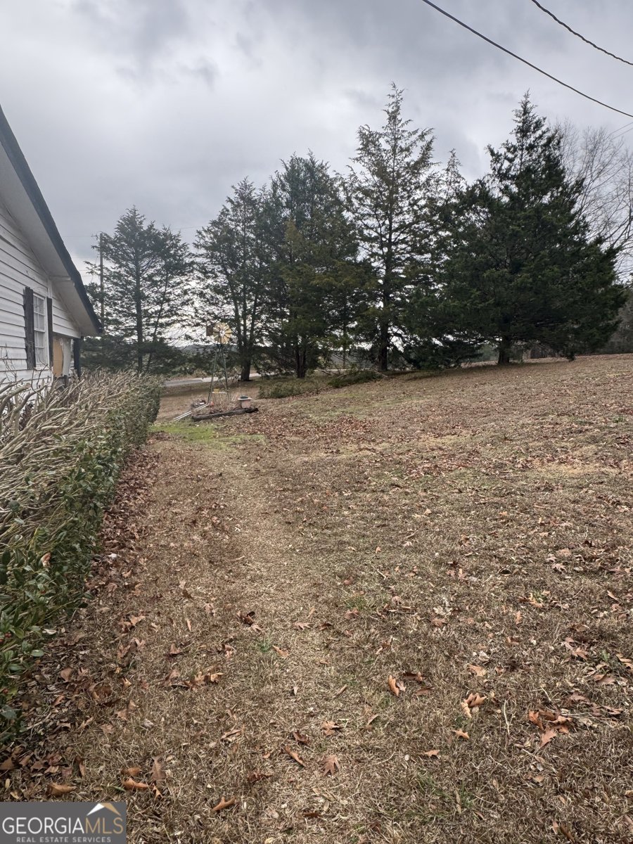 29 Settlement Road Dallas - Photo 12